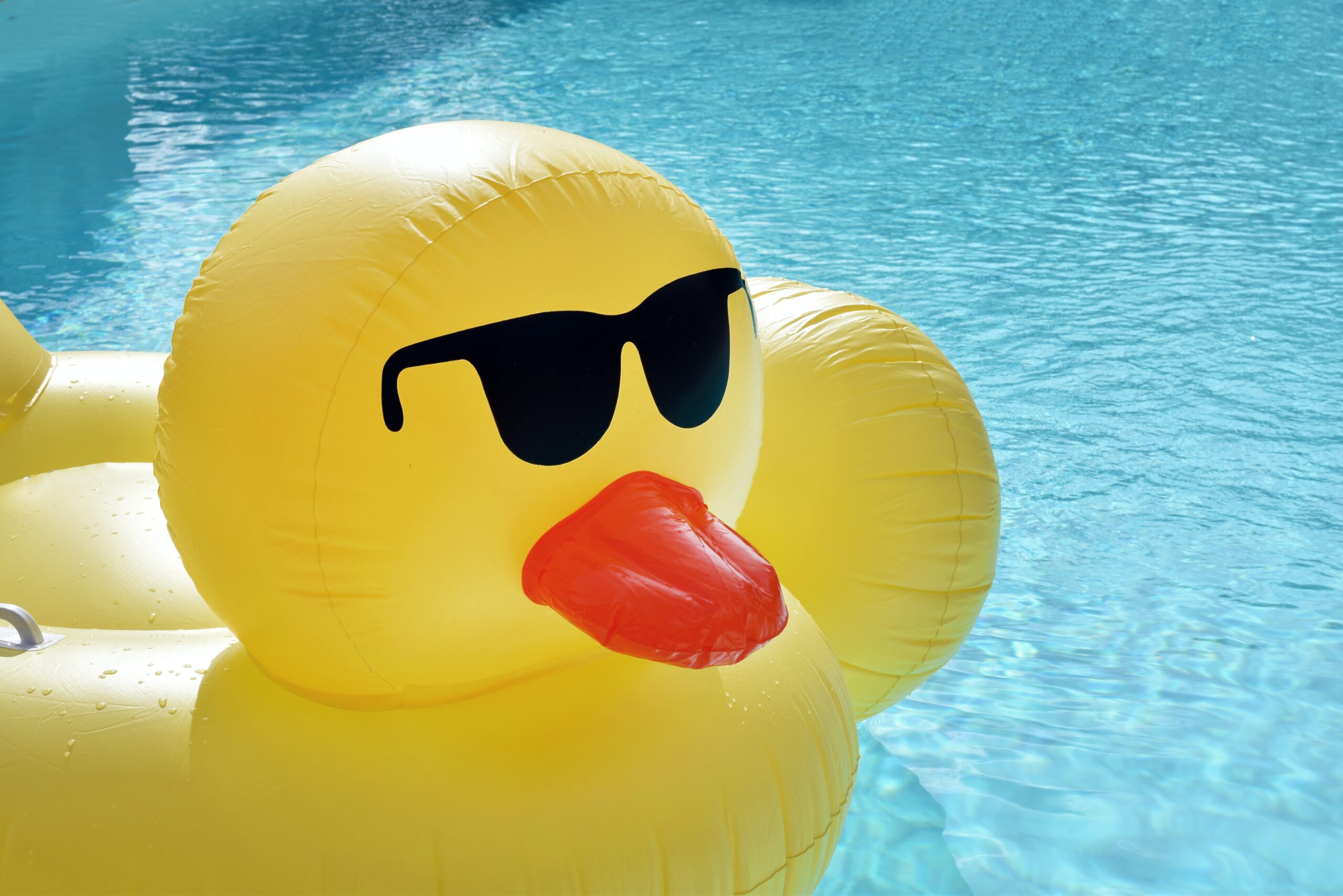 Summer Fundraising ideas - a little yellow duck pool float