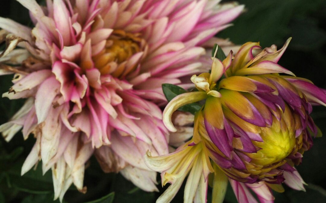 Easter Fundraising Ideas: 5 Creative Ways to Support Your Church