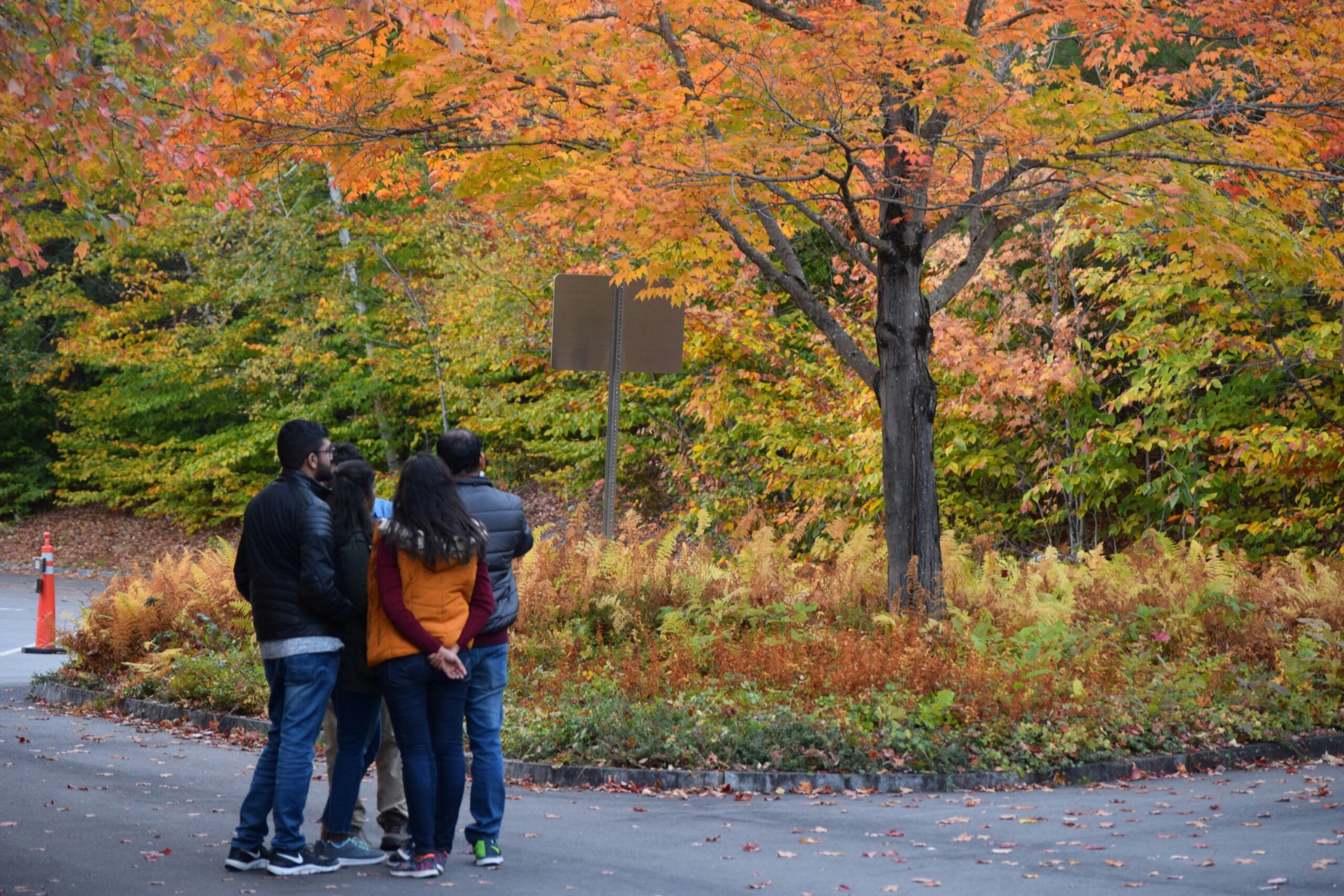 Family group enjoying guided autumn nature walk with vibrant fall foliage, perfect for fall equinox fundraising nature walk events